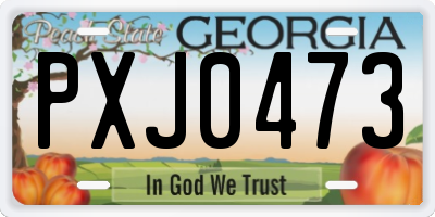 GA license plate PXJ0473