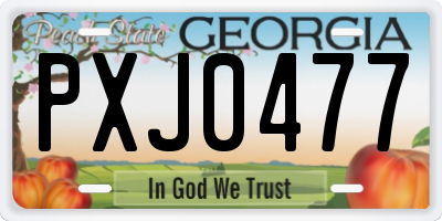 GA license plate PXJ0477