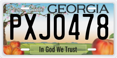 GA license plate PXJ0478