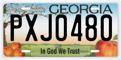 GA license plate PXJ0480
