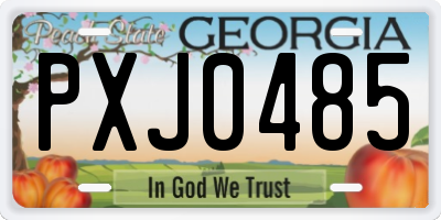 GA license plate PXJ0485