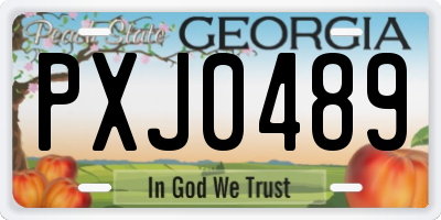 GA license plate PXJ0489