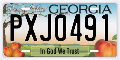 GA license plate PXJ0491
