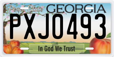 GA license plate PXJ0493