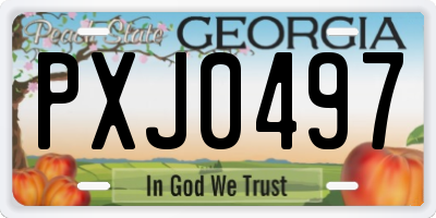GA license plate PXJ0497