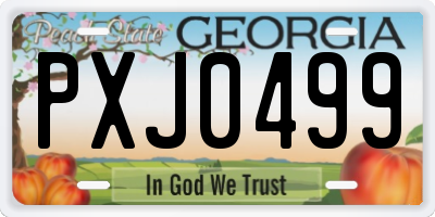 GA license plate PXJ0499