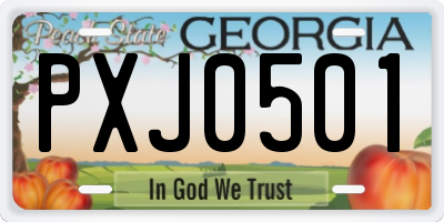 GA license plate PXJ0501
