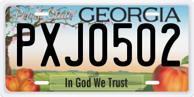 GA license plate PXJ0502
