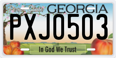 GA license plate PXJ0503