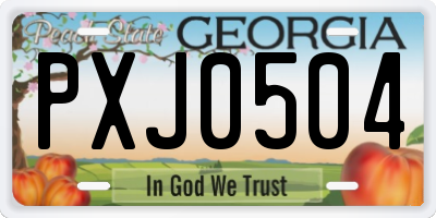 GA license plate PXJ0504