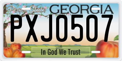 GA license plate PXJ0507