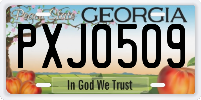 GA license plate PXJ0509