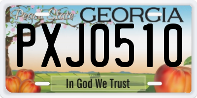 GA license plate PXJ0510