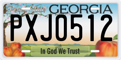 GA license plate PXJ0512