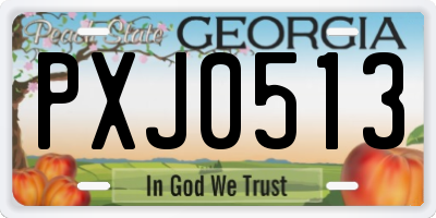 GA license plate PXJ0513