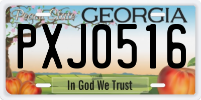 GA license plate PXJ0516