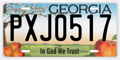 GA license plate PXJ0517