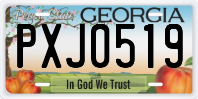 GA license plate PXJ0519