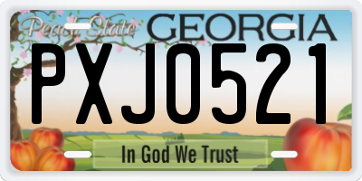 GA license plate PXJ0521