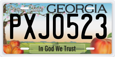 GA license plate PXJ0523
