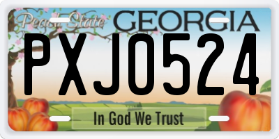 GA license plate PXJ0524