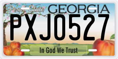 GA license plate PXJ0527