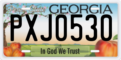 GA license plate PXJ0530