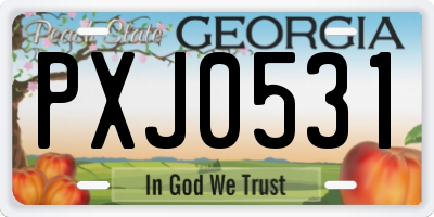 GA license plate PXJ0531