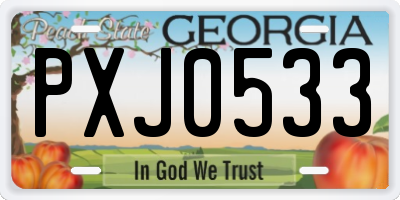 GA license plate PXJ0533