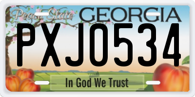 GA license plate PXJ0534