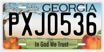 GA license plate PXJ0536