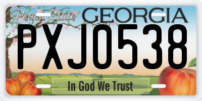 GA license plate PXJ0538