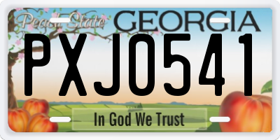 GA license plate PXJ0541