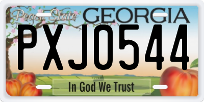 GA license plate PXJ0544
