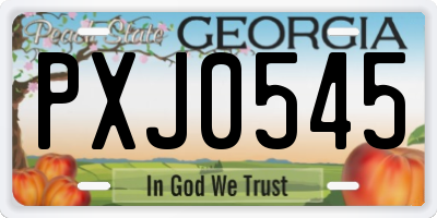 GA license plate PXJ0545
