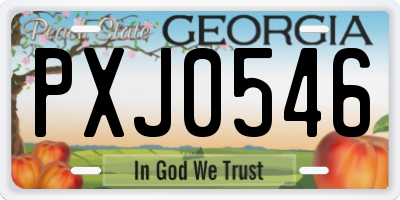 GA license plate PXJ0546