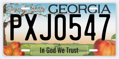 GA license plate PXJ0547