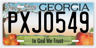 GA license plate PXJ0549