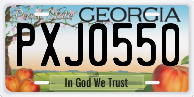 GA license plate PXJ0550