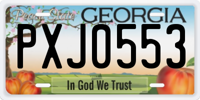 GA license plate PXJ0553