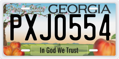 GA license plate PXJ0554