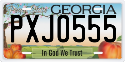 GA license plate PXJ0555