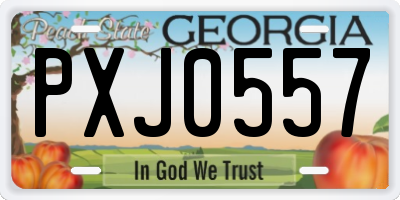 GA license plate PXJ0557