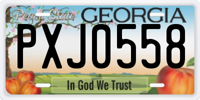 GA license plate PXJ0558