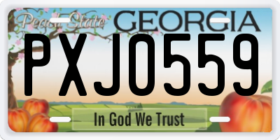 GA license plate PXJ0559