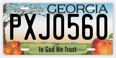 GA license plate PXJ0560