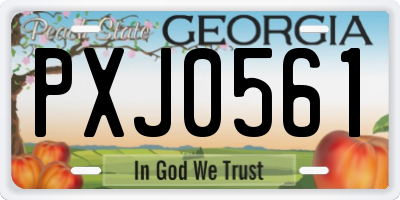 GA license plate PXJ0561