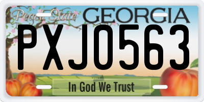 GA license plate PXJ0563