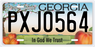 GA license plate PXJ0564