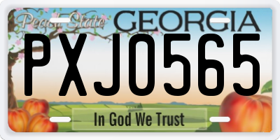 GA license plate PXJ0565